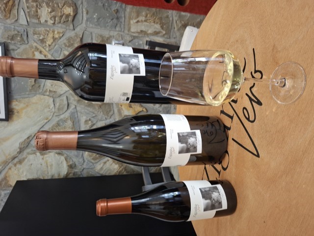 Kušali smo šampionsko vino s 32. Vinistre- mlada Malvazija istarska 2025. vinarije Zigante Vero